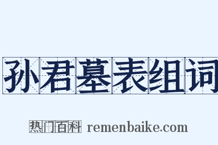 孙君墓表组词是什么意思的图片